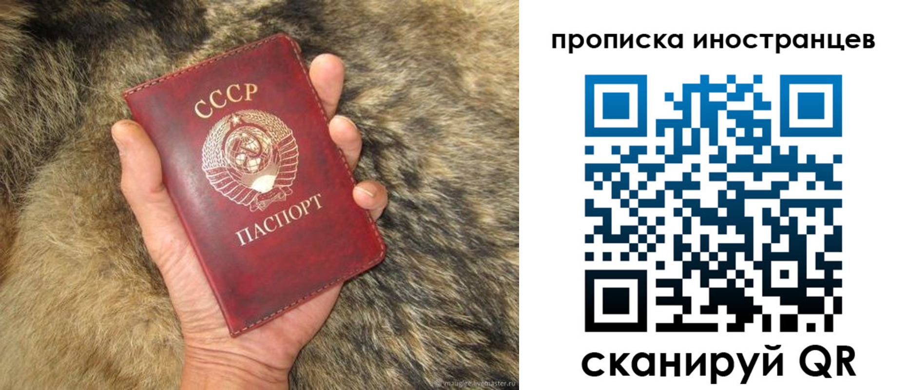 временная регистрация для школы в Бийске
